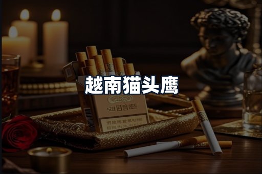 越南猫头鹰